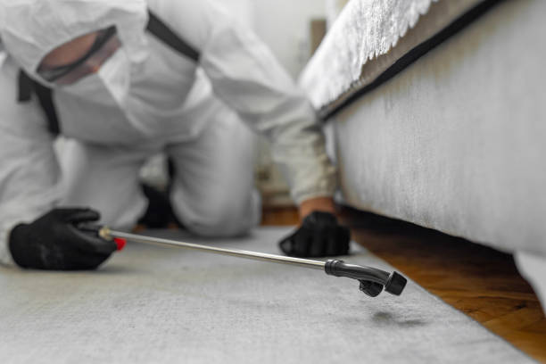 Professional Termite Control technician working in Brice Prairie, WI